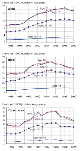 Three figures showing person offense case rates by age and racial group (white youth, black youth, youth of other races) from 1985 through 2000.