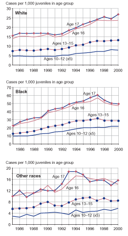 Three figures showing public order offense case rates by age and racial group (white youth, black youth, youth of other races) from 1985 through 2000.