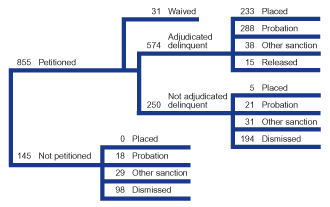 Flowchart showing the disposition of a typical 1,000 juvenile robbery cases in 2000.