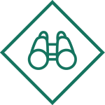 green line illustration of binoculars