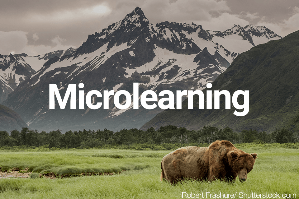 Microlearning