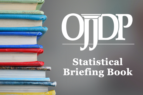 Statistical Briefing Book